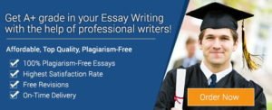 Essay Writing Company