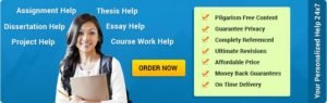 Nursing Capstone Project Writing